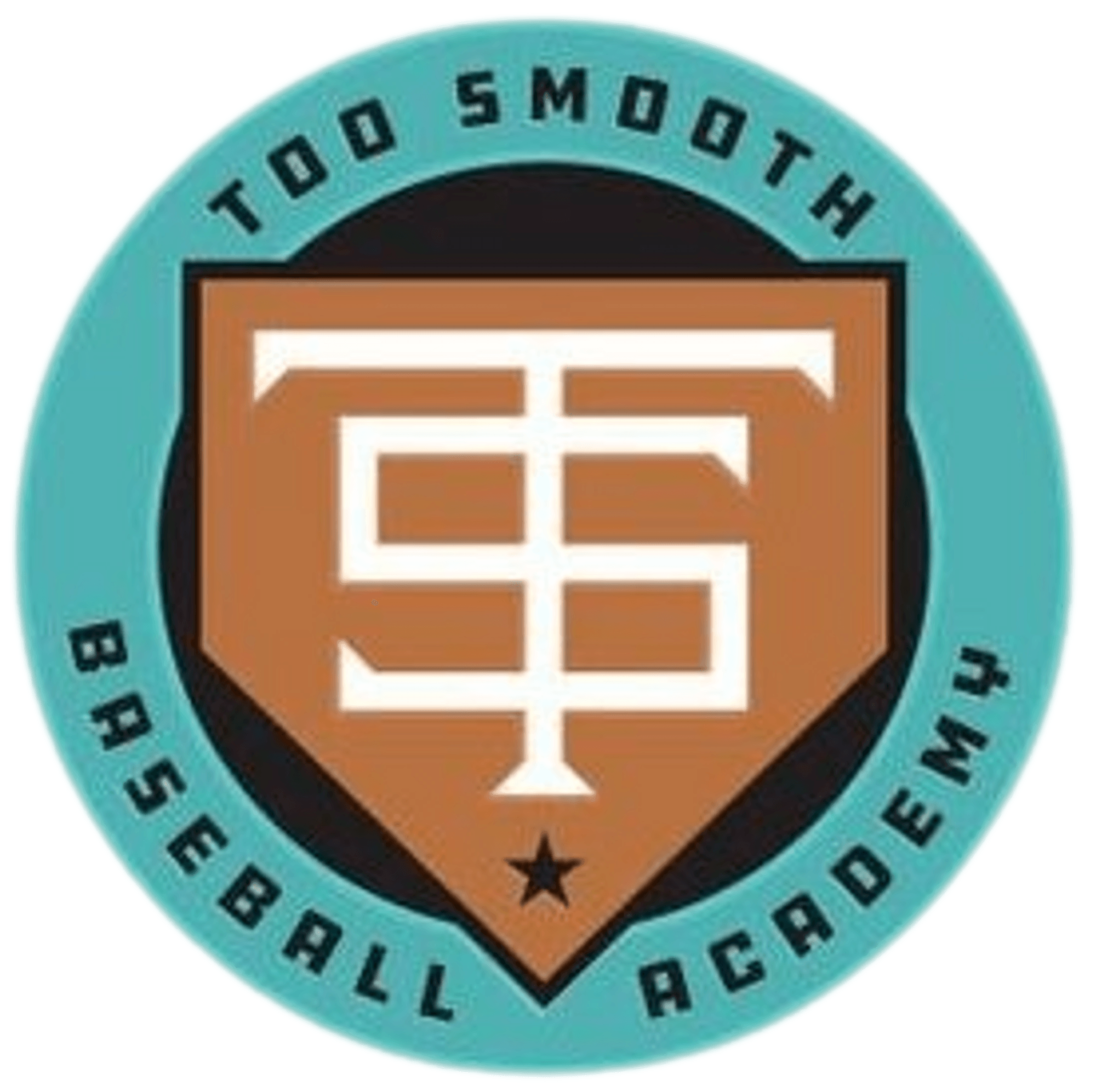 Too Smooth Baseball Academy | undefined Logo